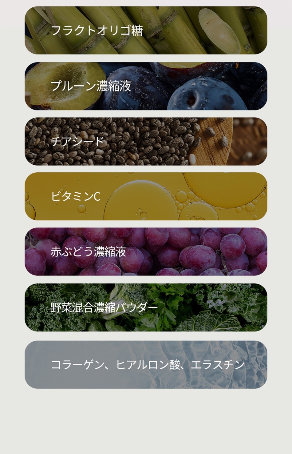 FOODOLOGY フードオロジー】コレオロジー快調ゼリー ぷるぷる