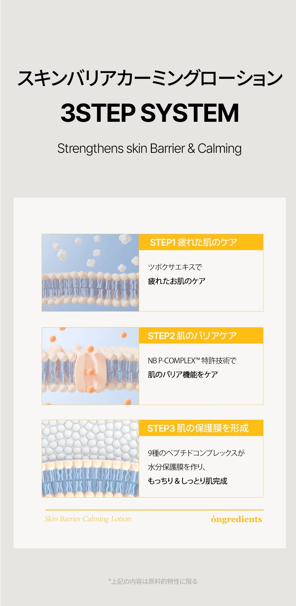自然なツヤ肌 スキンケア 韓国