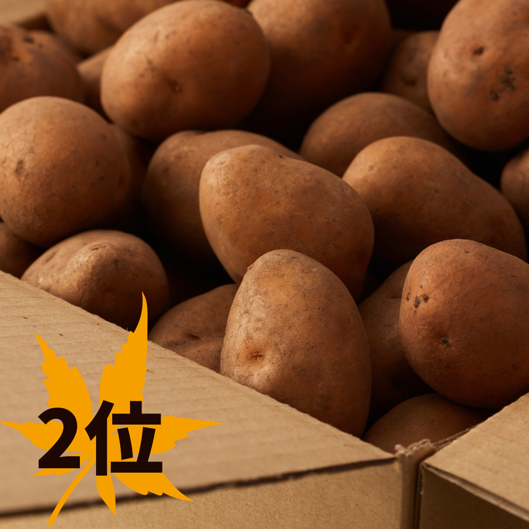 いんかのめざめ