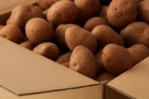 インカのめざめ