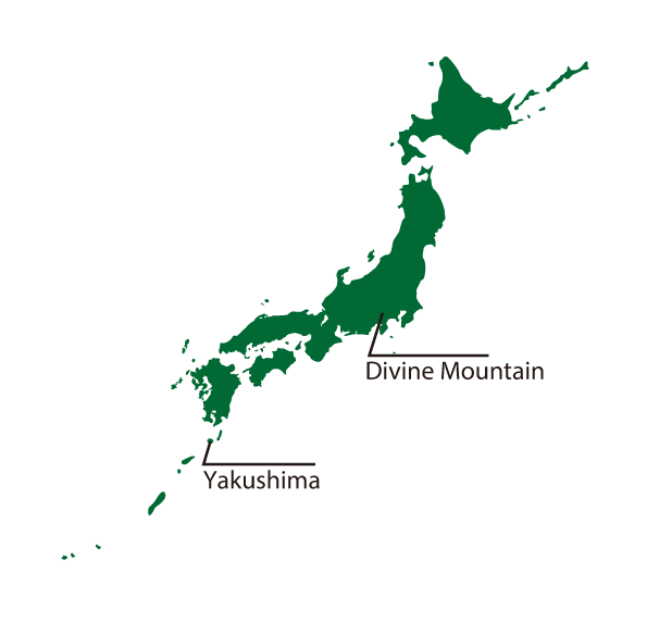 �ͥ����㡼���ɥ��å��󥹤Ȥϡ�