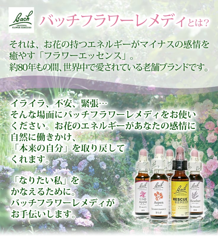 オリーブ 20ml バッチフラワー フラワーエッセンス レメディ - その他