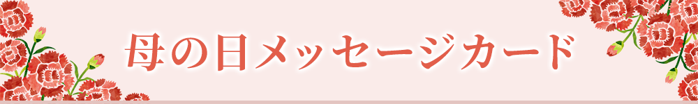 おすすめ人気ランキング