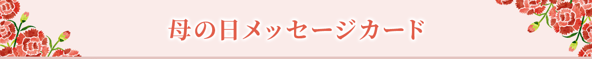 おすすめ人気ランキング