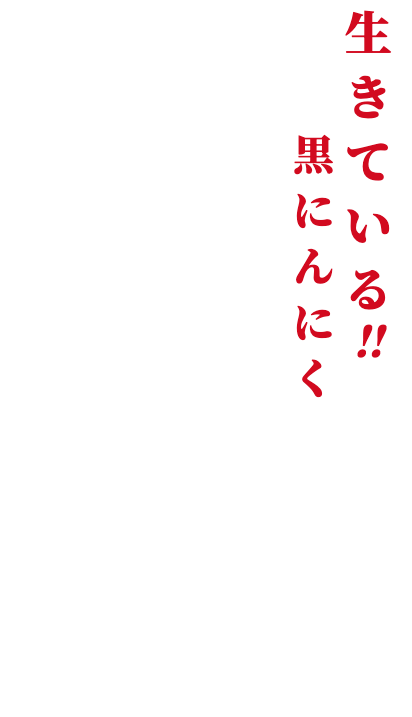 生きている<i>!!</i>黒にんにく　黒龍の光