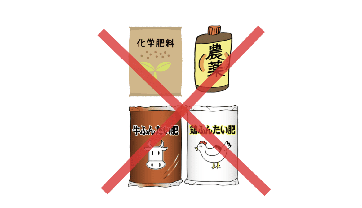 農薬・除草剤・化学肥料・動物性堆肥不使用