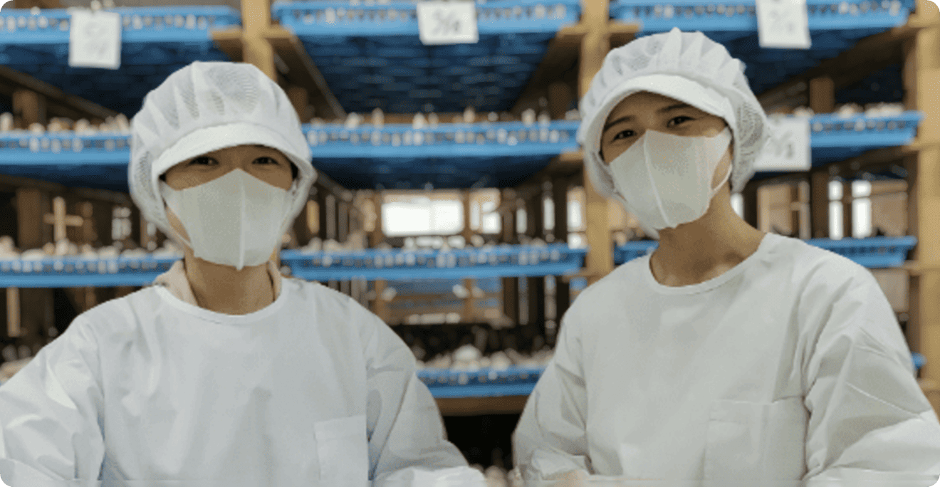 農薬・除草剤・化学肥料・動物性堆肥不使用