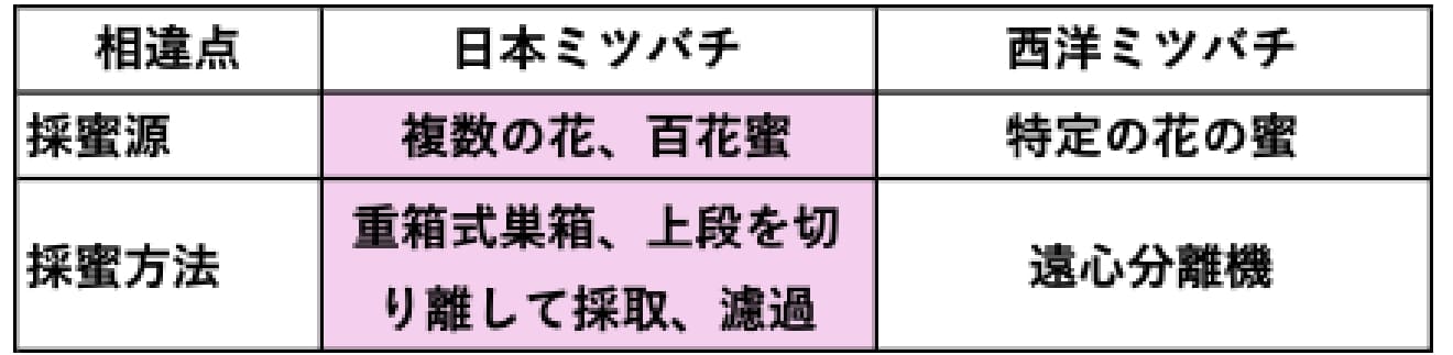 日本ミツバチと西洋ミツバチの採取源の相違点