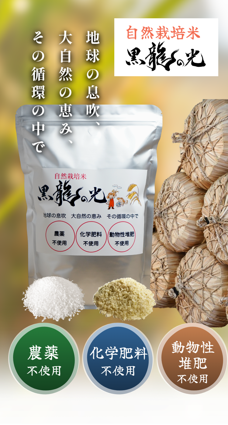 自然農 限界集落の清流米 9Kg 栽培地標高500m 清流水使用 自家