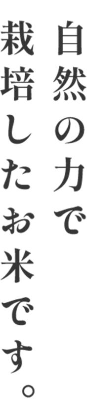 自然の力で栽培したお米です。