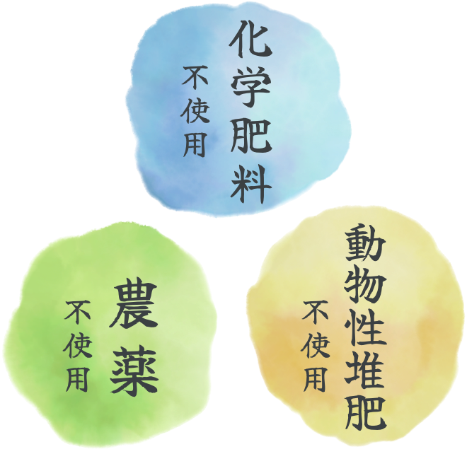 化学肥料不使用・農薬不使用・動物性堆肥不使用