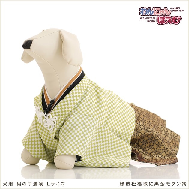 ペット着物レンタル 男の子用lサイズで中型犬におすすめな犬の着物 柴犬 シーズー コーギー ペット衣装レンタル