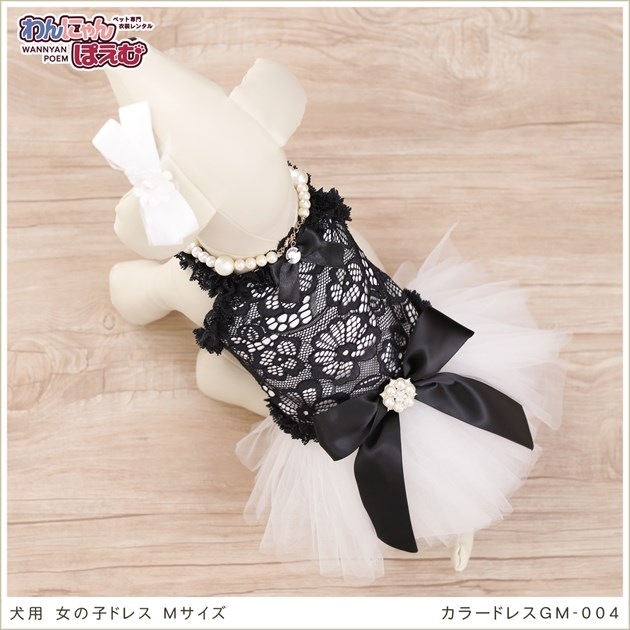 犬のドレスレンタル｜Mサイズ小型犬トイプードル・ミニチュアダックス