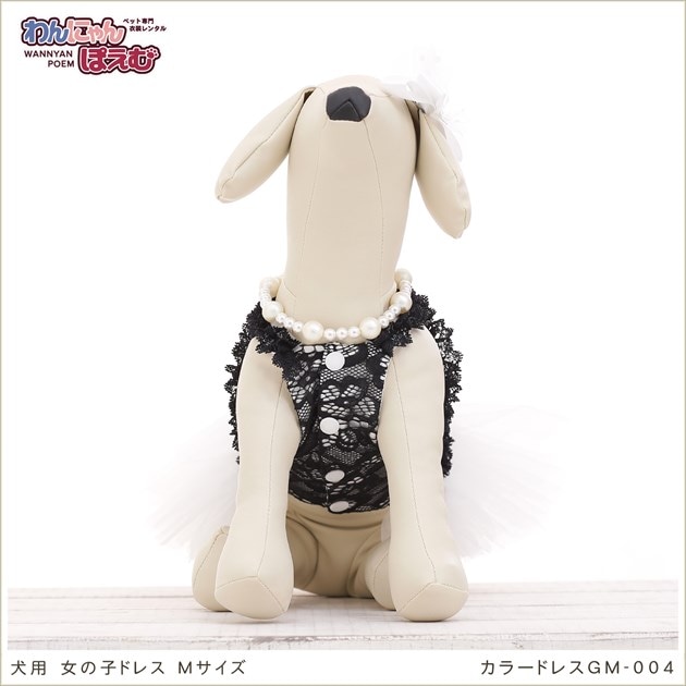 犬のドレスレンタル｜Mサイズ小型犬トイプードル・ミニチュアダックス