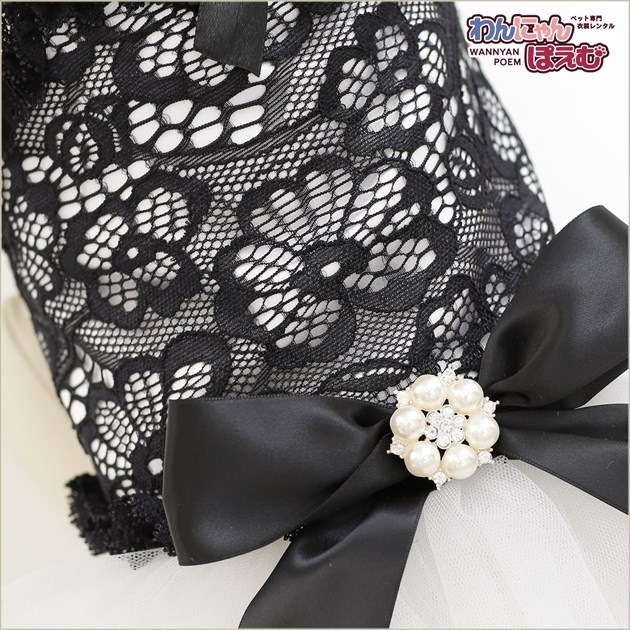 犬のドレスレンタル｜Mサイズ小型犬トイプードル・ミニチュアダックス