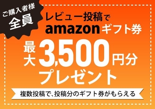 レビュー投稿でギフト券プレゼント