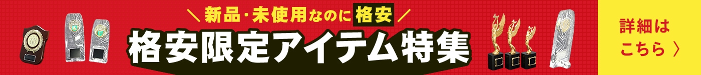 格安限定アイテム特集