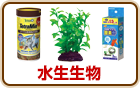 水生生物