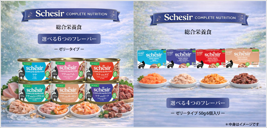 シシア キャット