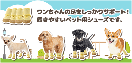 はかせやすいおさんぽシューズ