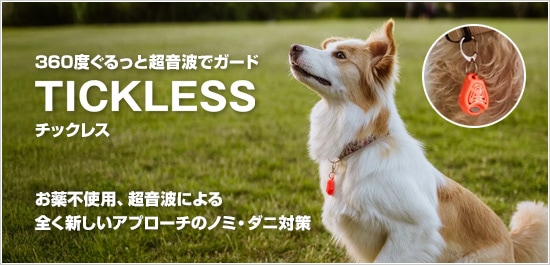 チックレス