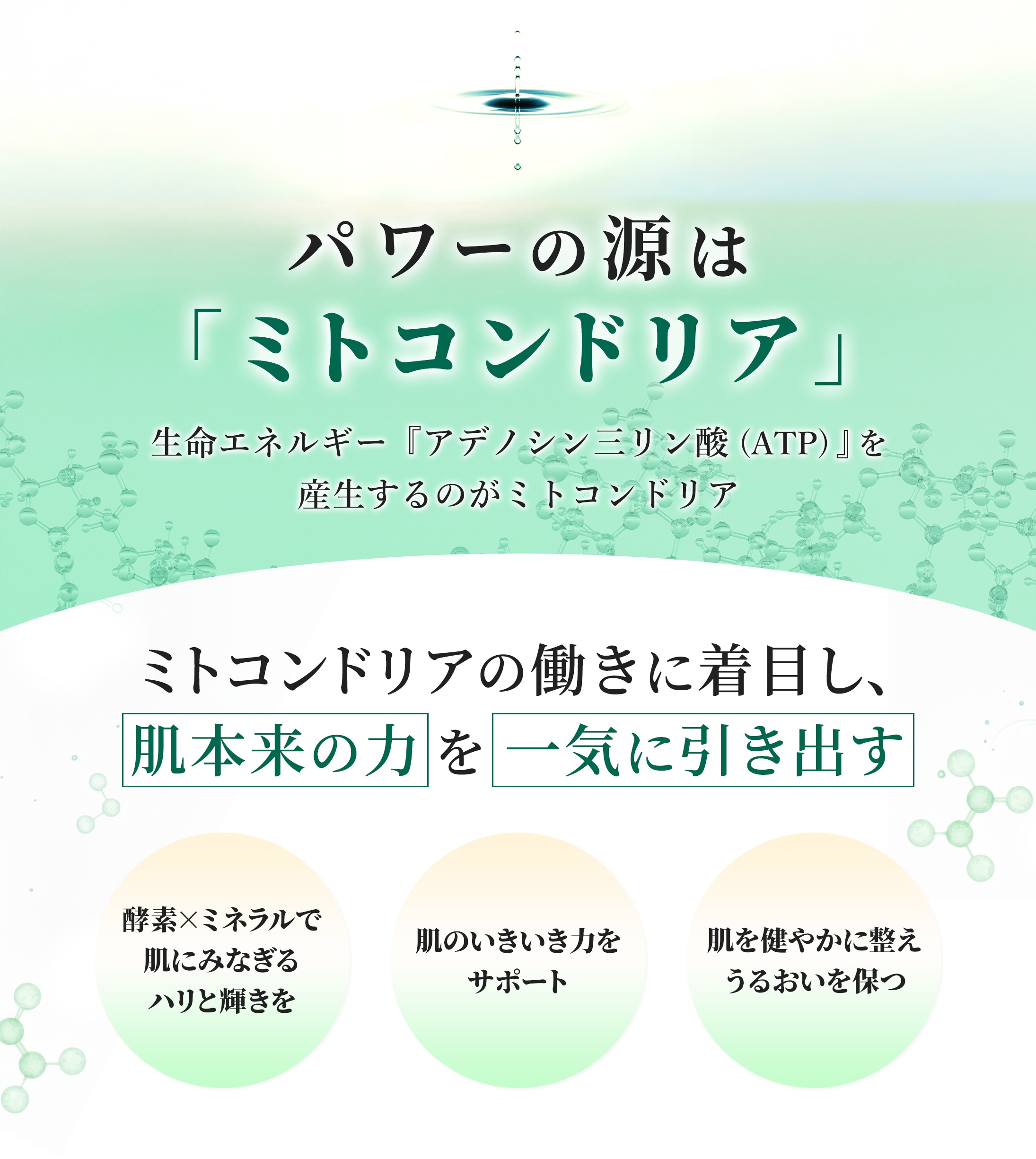 �ߥȥ���ɥꥢ