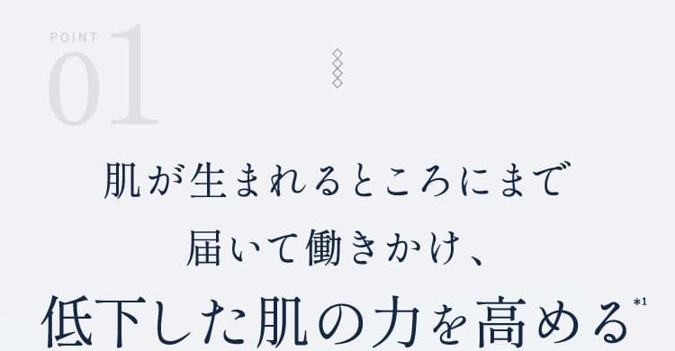 POINT 01 肌が生まれるところにまで届いて働きかけ、低下した肌の力を高める