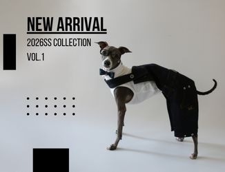 2026ss1