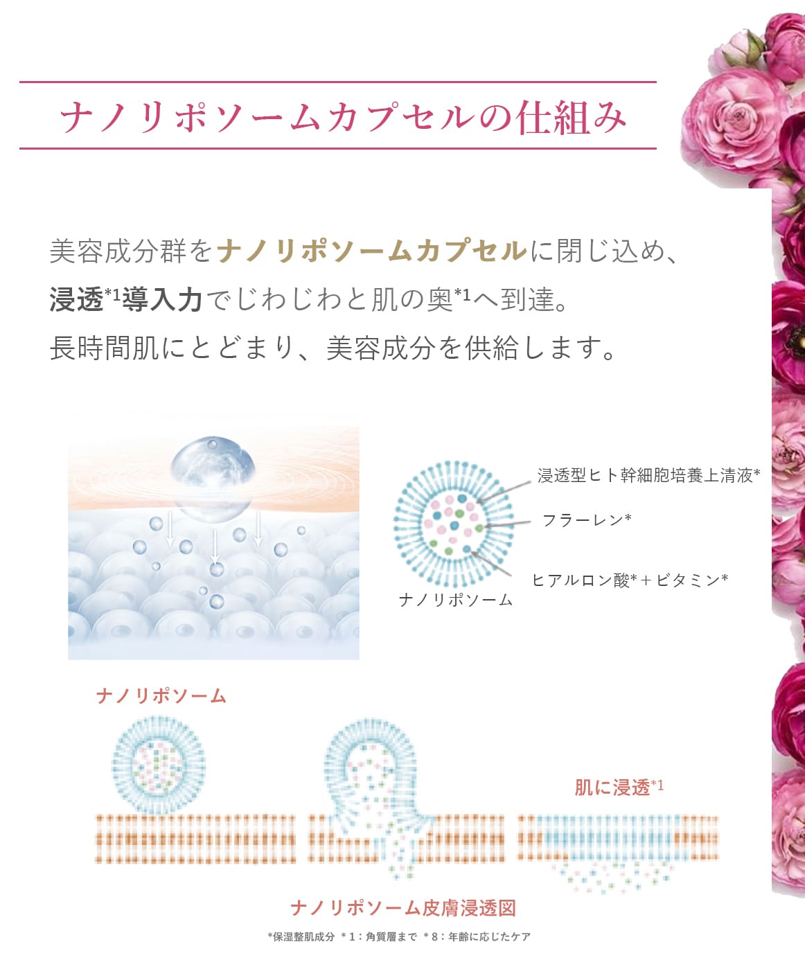 ブランティエ シルキーナノクリーム