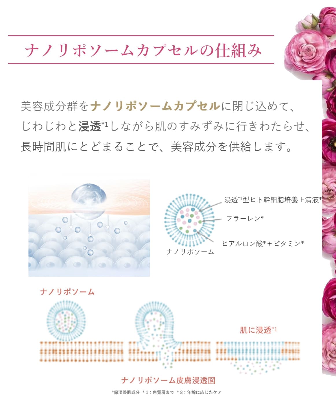 ブランティエ シルキーナノクリーム