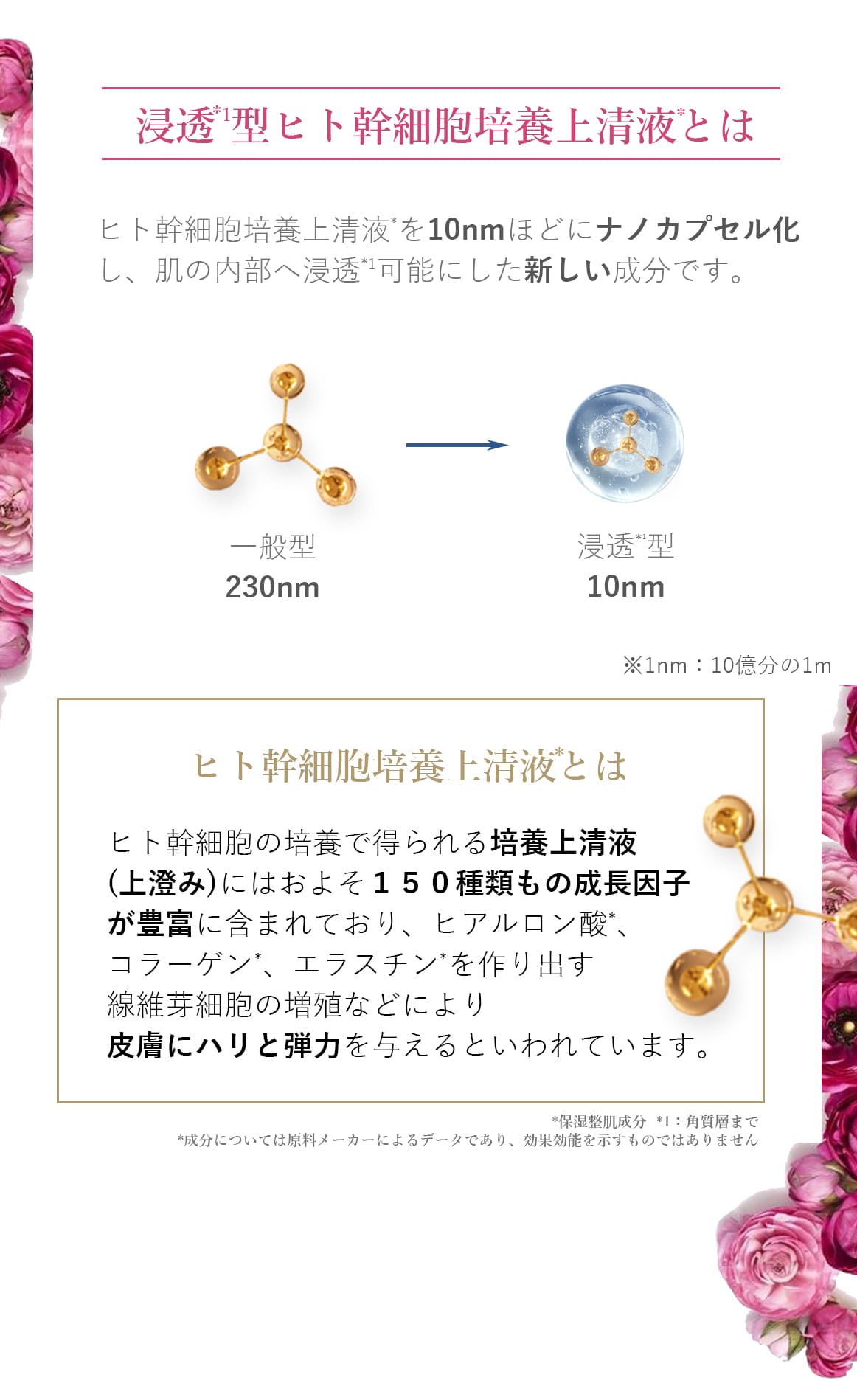 ブランティエ シルキーナノクリーム