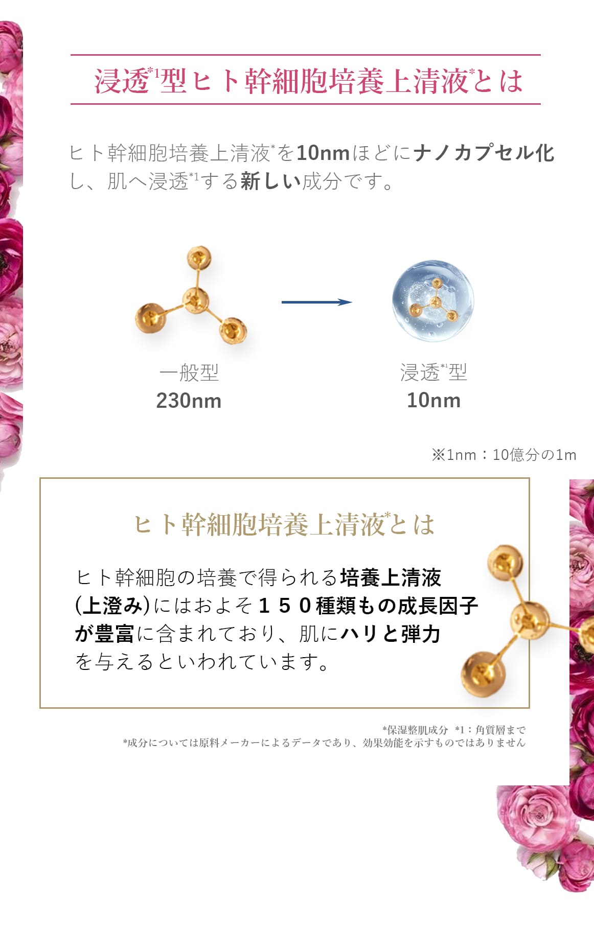 シルキーナノクリーム(クリーム)｜ブランティエ(BRANTIER) 公式