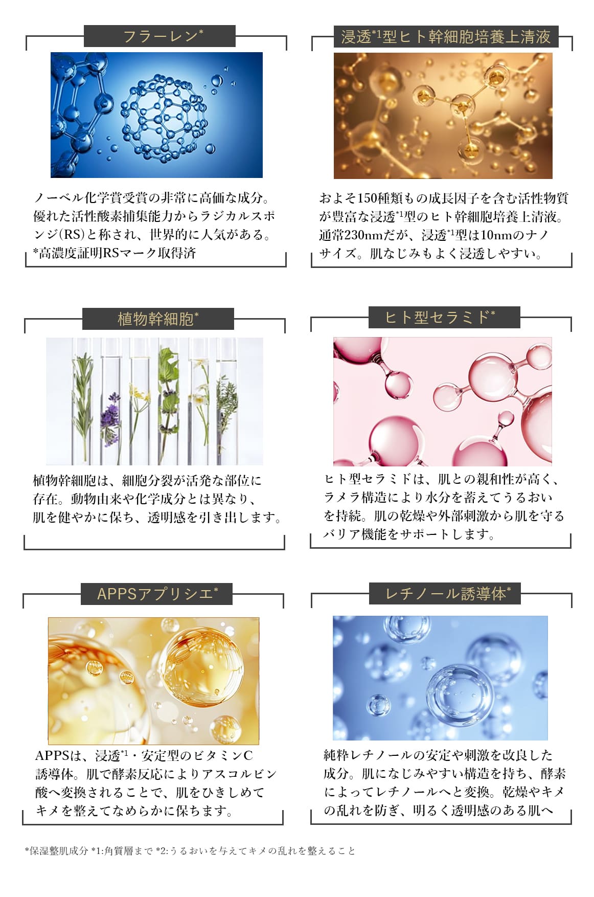 シルキーナノクリーム(クリーム)｜ブランティエ(BRANTIER) 公式