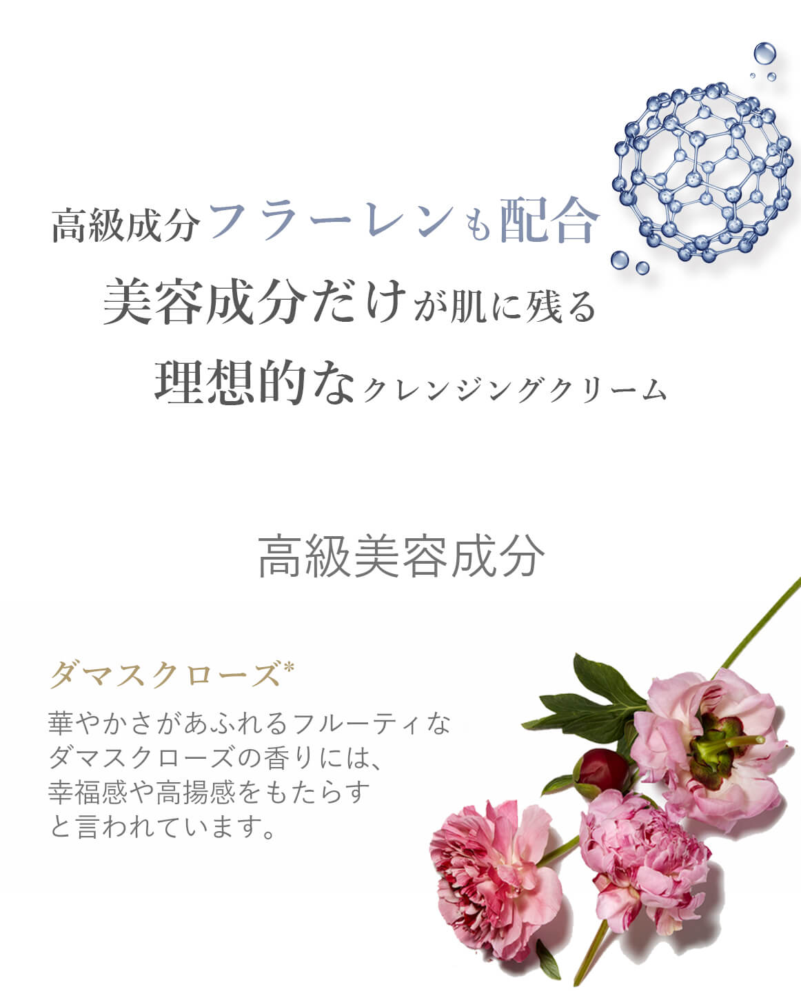 ブランティエ クレンジング クレンジングクリーム