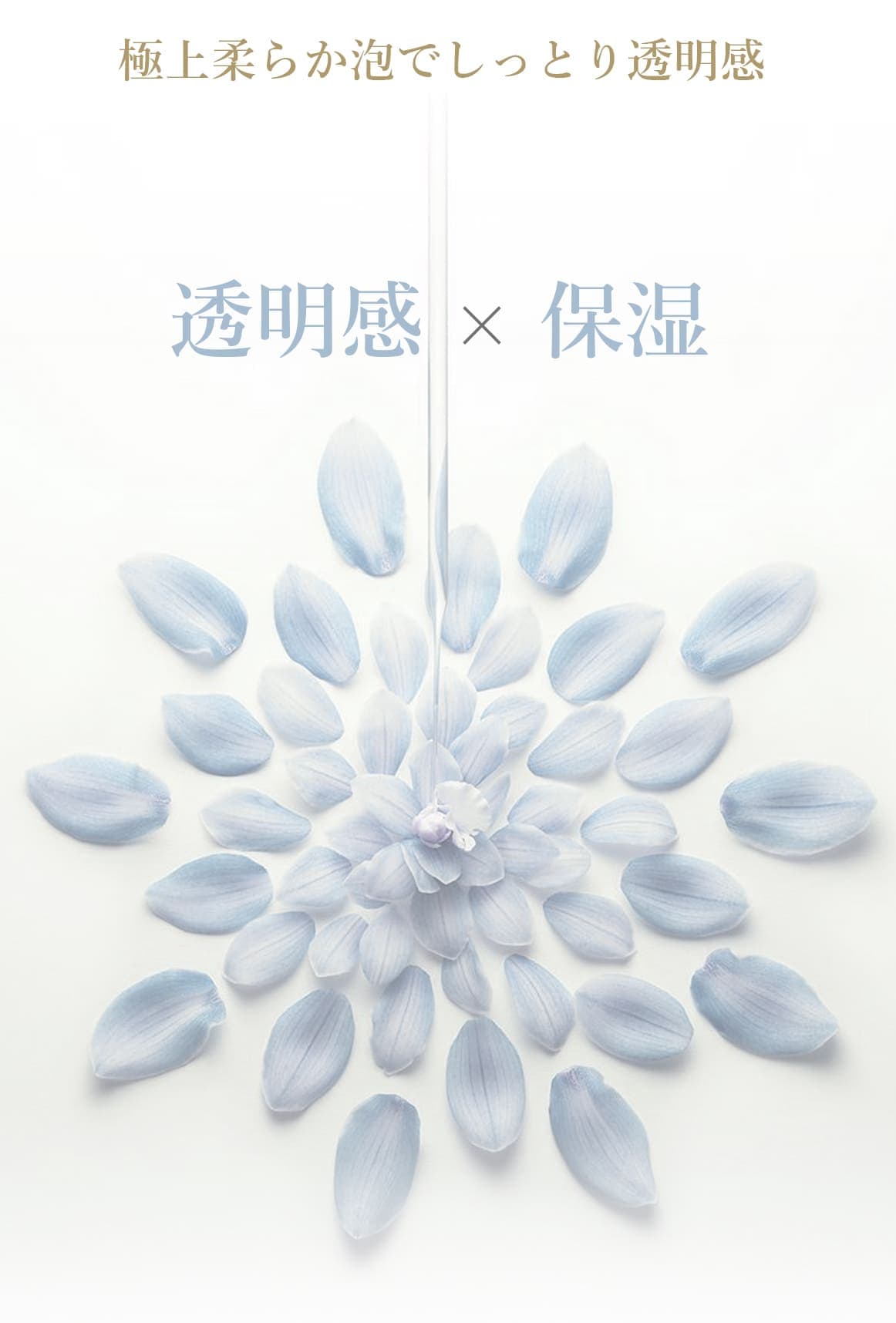 クレンジングフォーム(洗顔フォーム)｜ブランティエ(BRANTIER) 公式