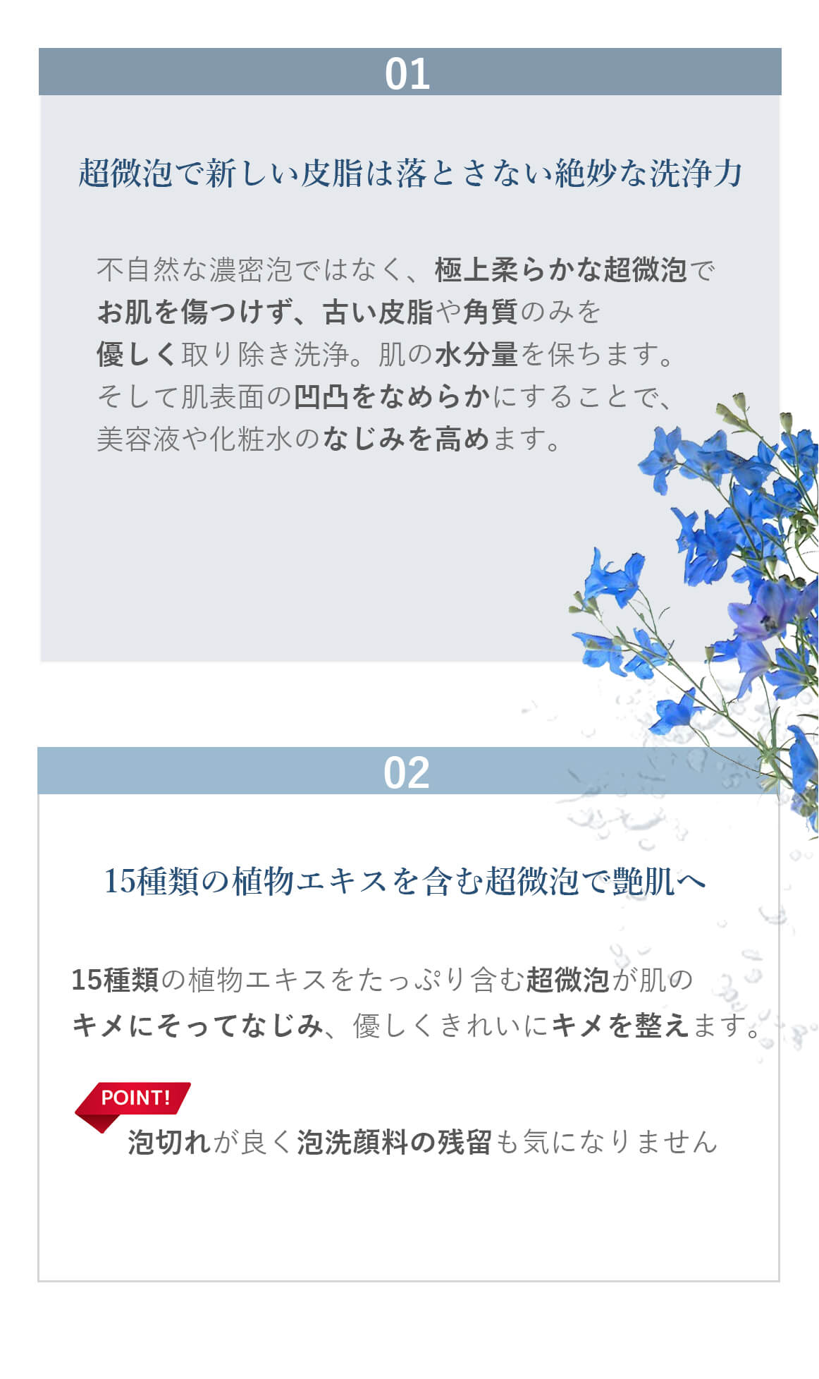 ブランティエ クレンジングフォーム