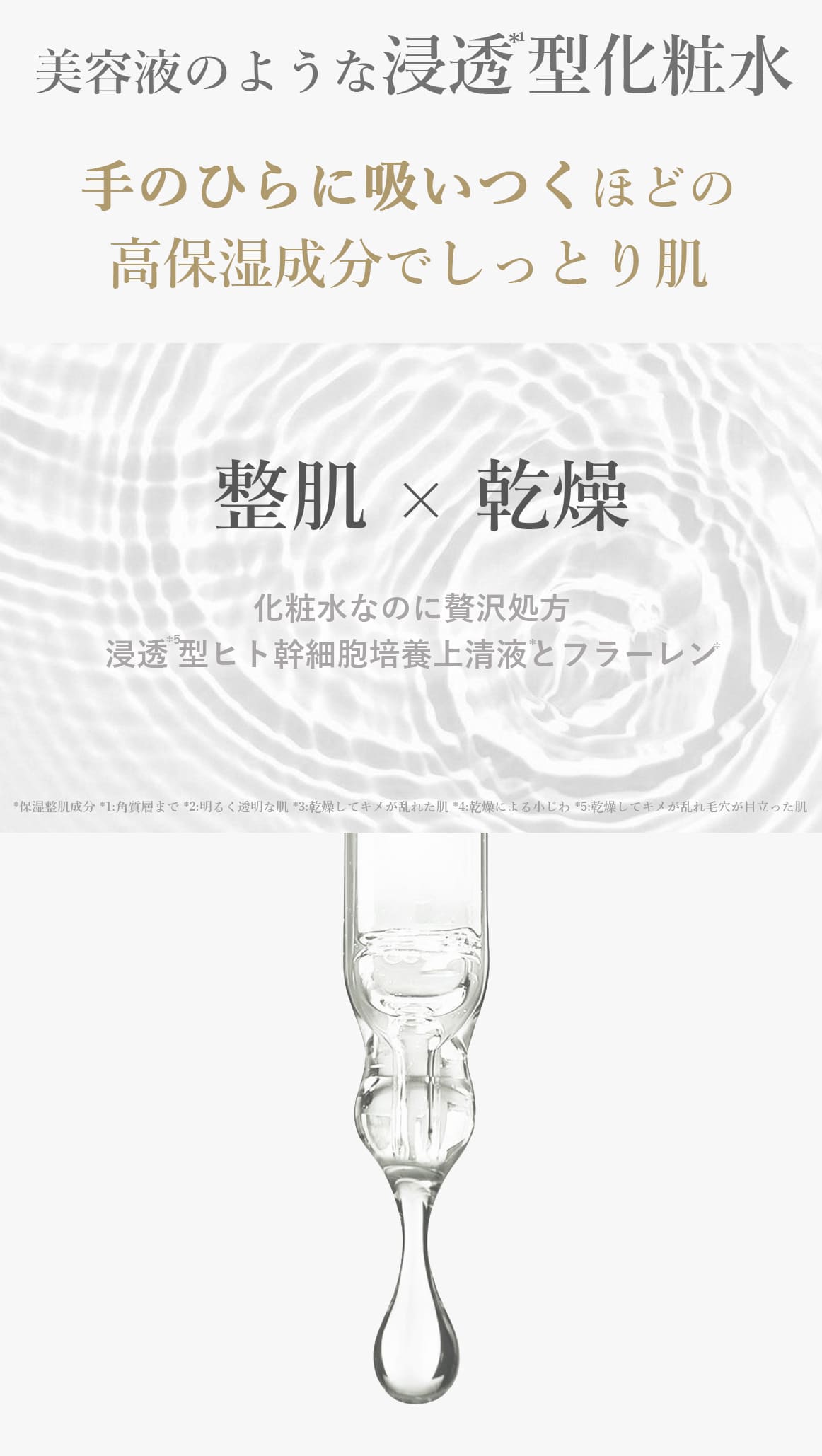 ブランティエ 化粧水 シルキーモイストローション