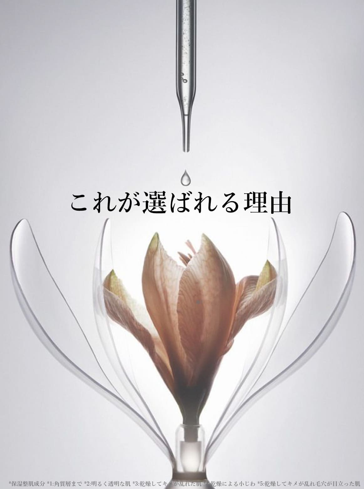 ブランティエ 化粧水 シルキーモイストローション