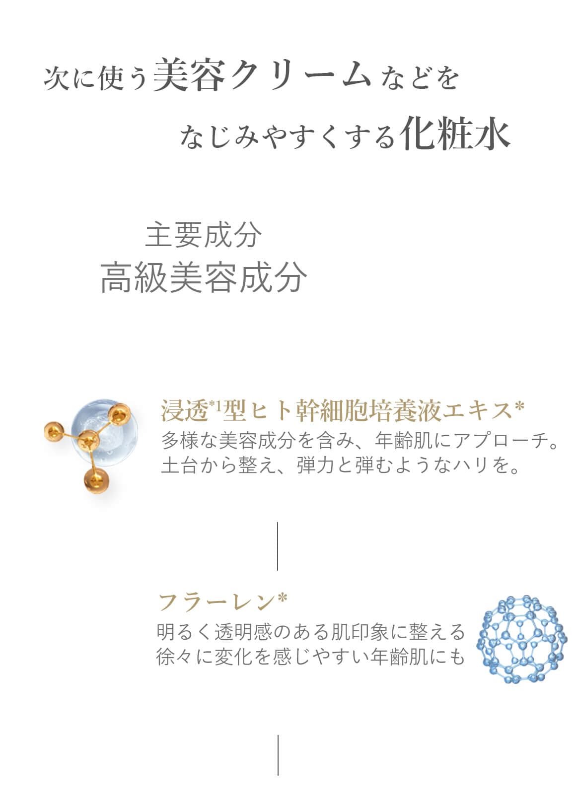 ブランティエ 化粧水 シルキーモイストローション
