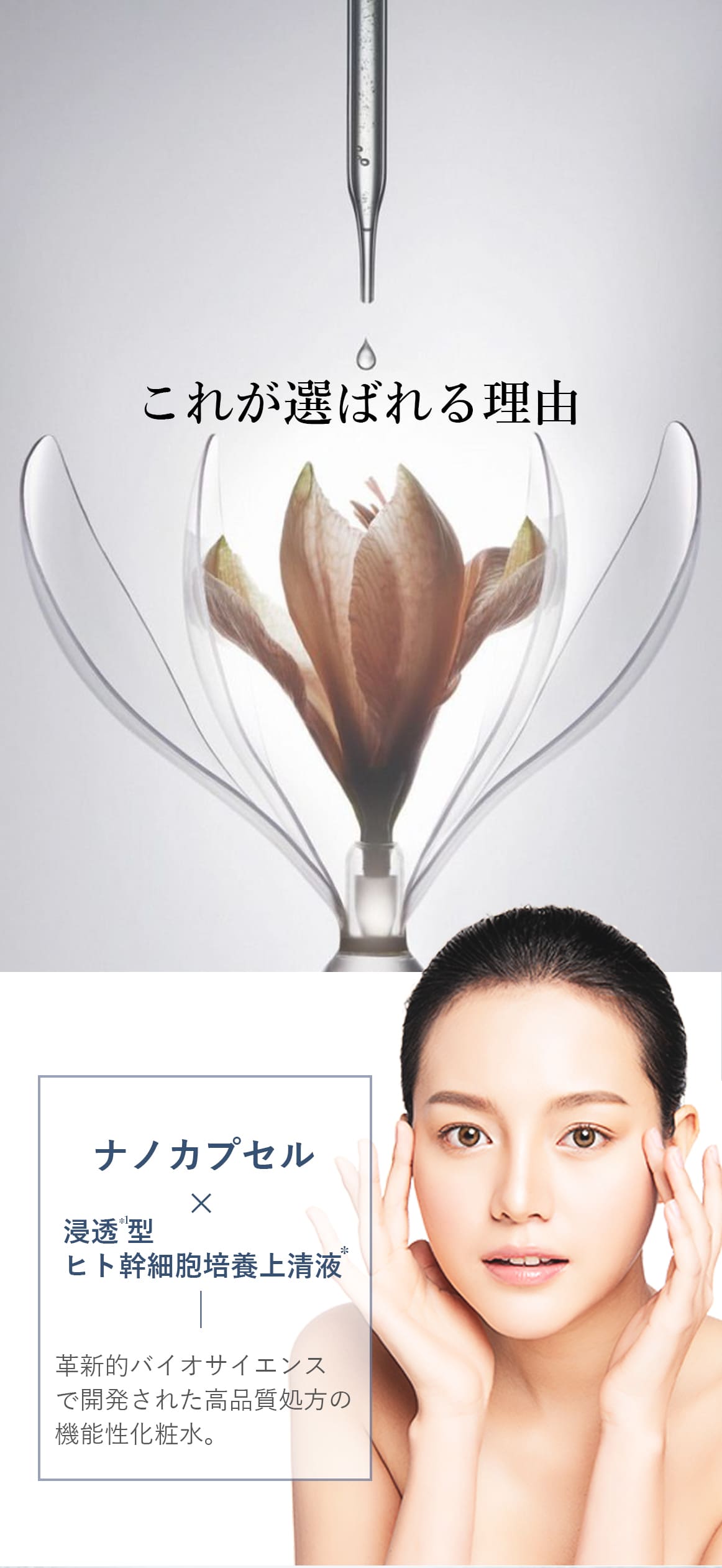 ブランティエ 化粧水 シルキーモイストローション