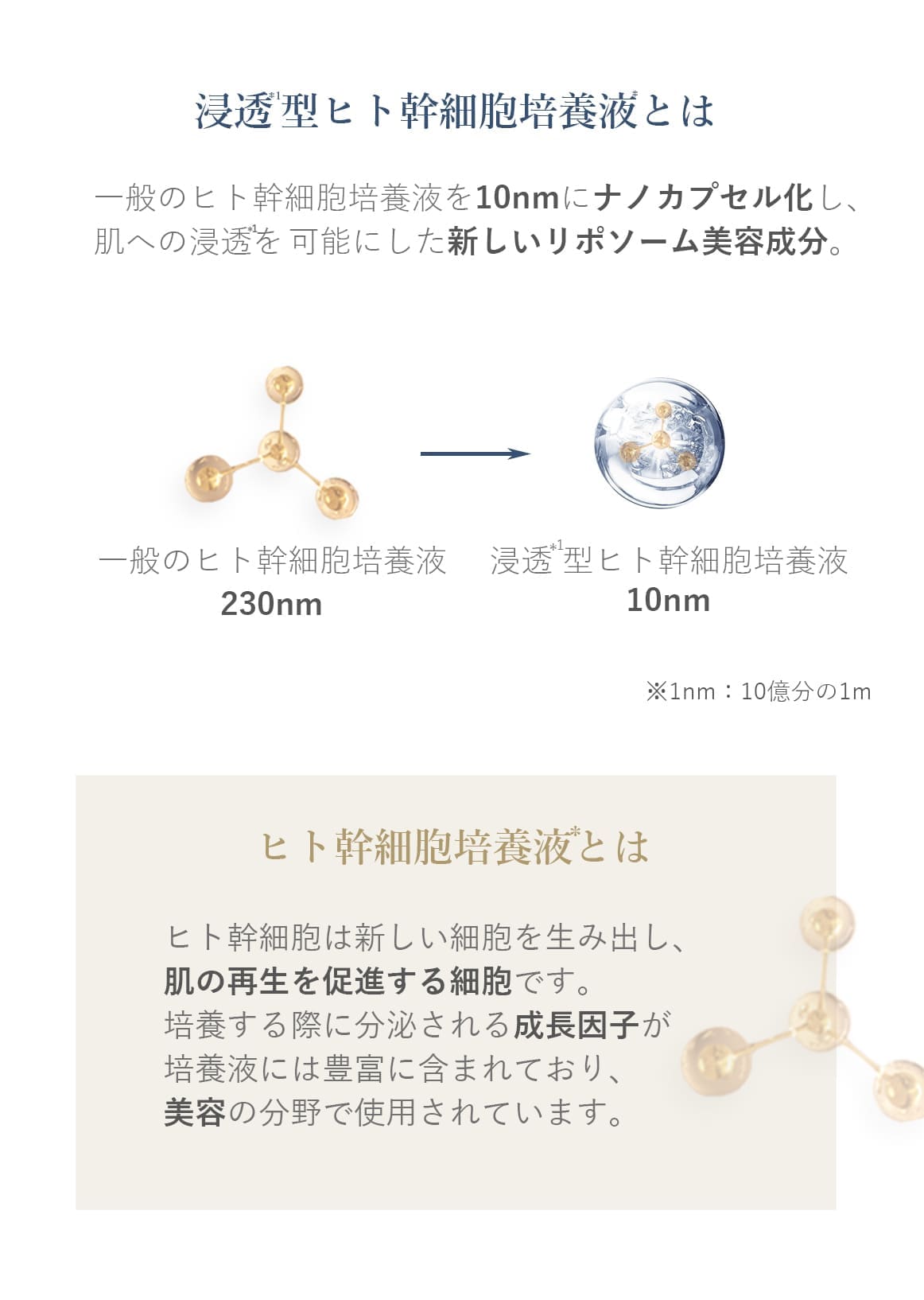 ブランティエ 化粧水 シルキーモイストローション