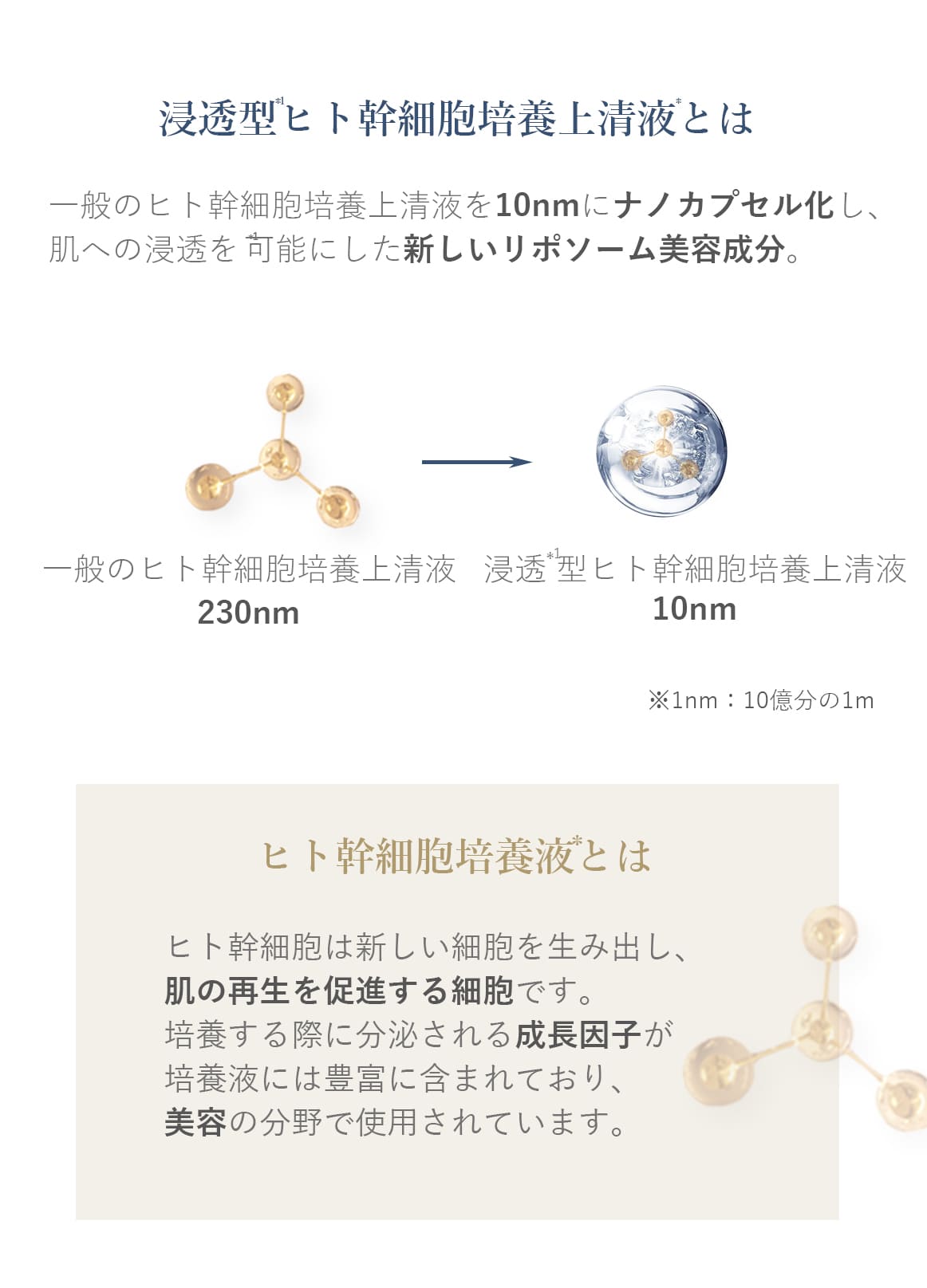 ブランティエ 化粧水 シルキーモイストローション