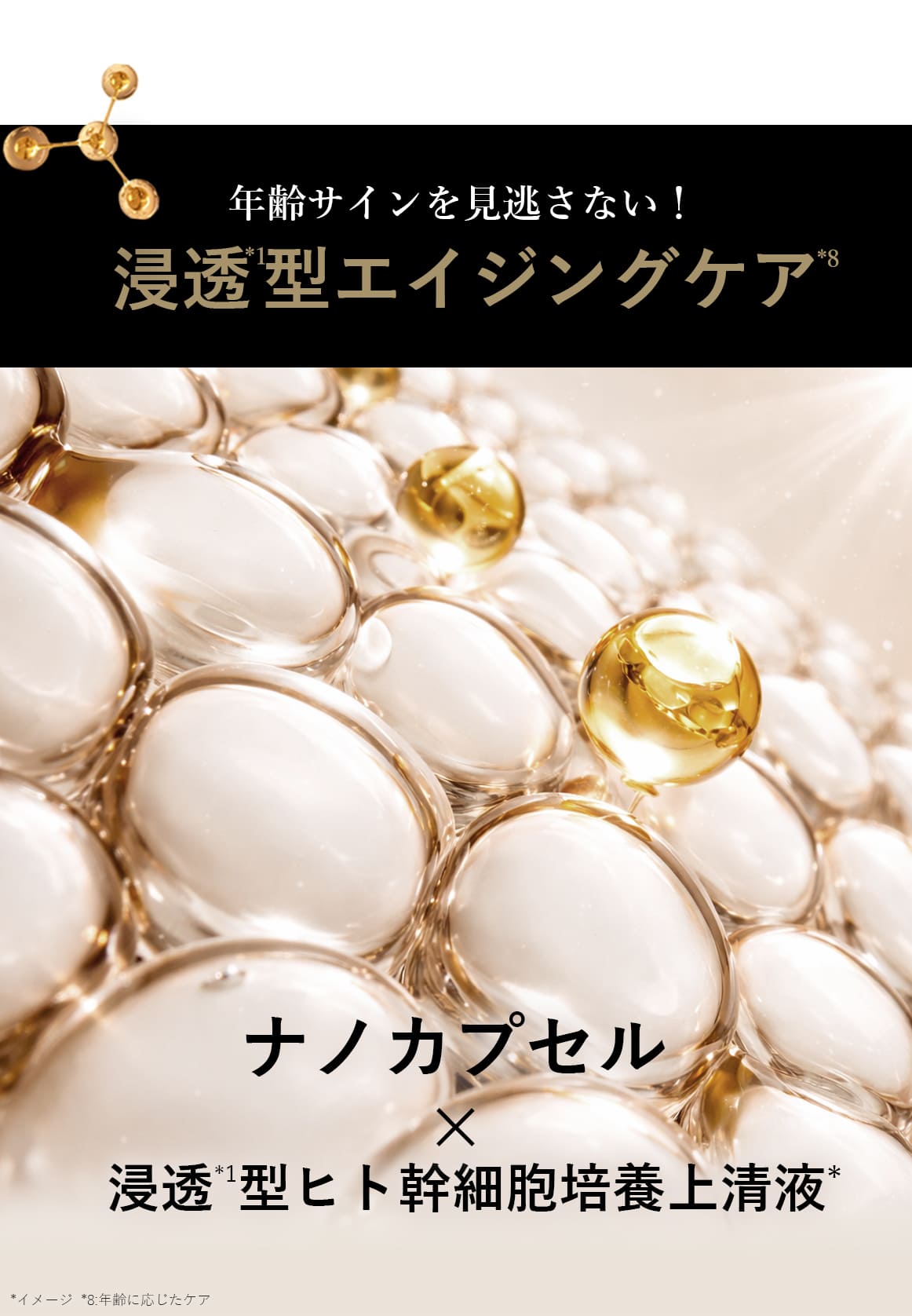 シルキーナノセラム(美容液)｜ブランティエ(BRANTIER) 公式