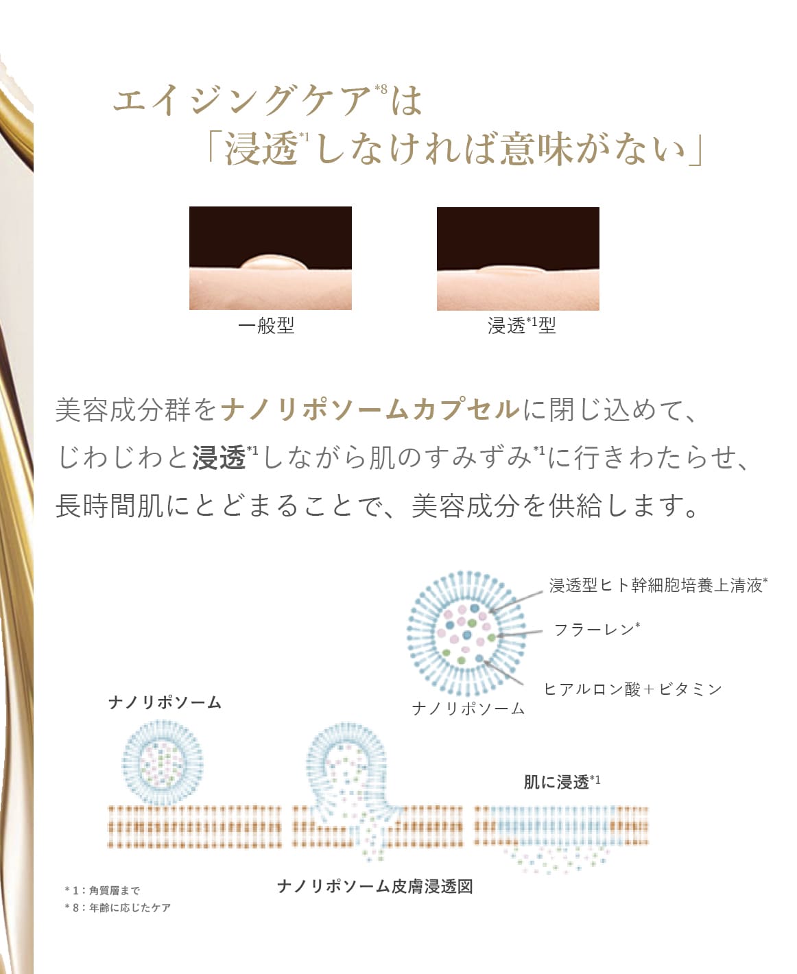 シルキーナノセラム(美容液)｜ブランティエ(BRANTIER) 公式