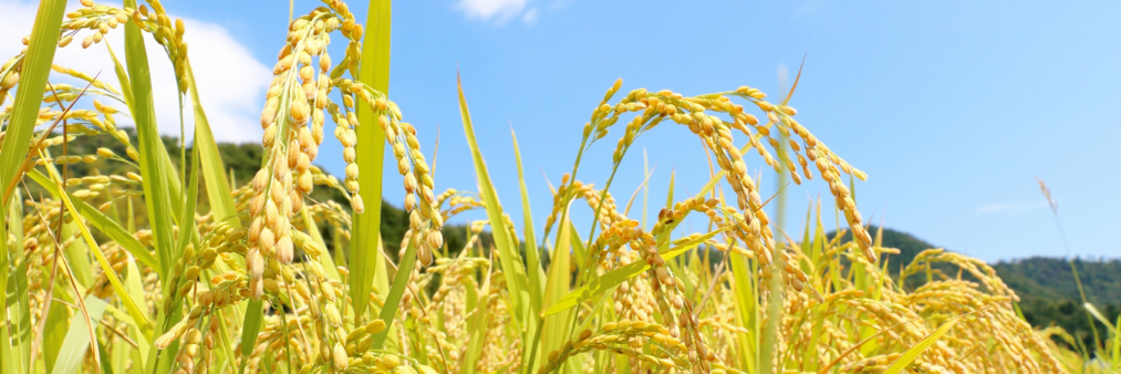 北海道地図、蘭越町の一