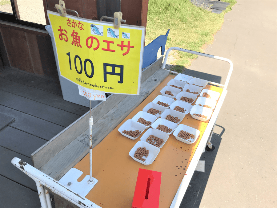 アースドリーム角山農場の鯉のエサは今も100円？