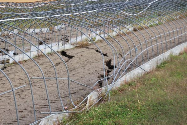 北海道胆振東部地震で亀裂が入った厚真町の畑