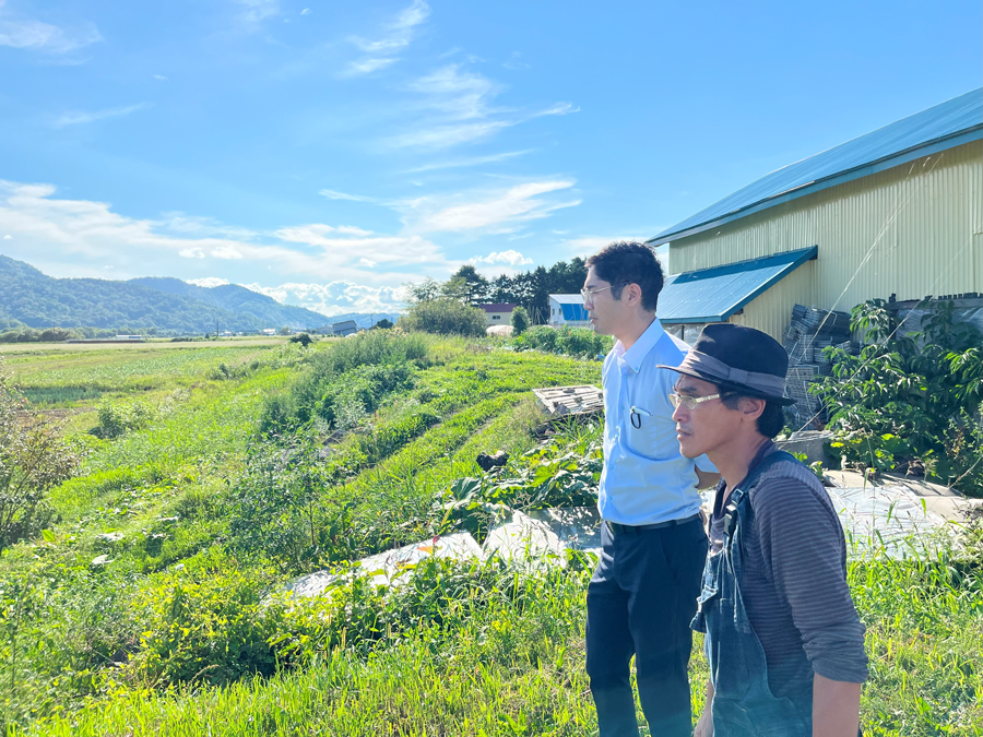 【北海道☆お野菜屋さん】 カ ンデル 4袋 ワ ンデル 3本 北海道☆お野菜屋さん専用】カ ンデル 4袋 ワ ンデル 3本 【公式通販】