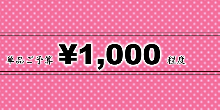 1000円程度