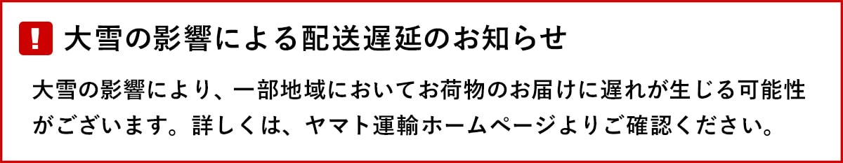 大雪による遅延のお知らせ